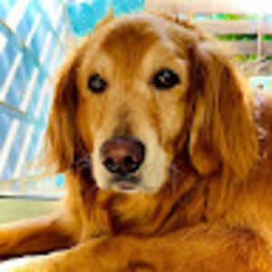 Meet your Posher, Gloria